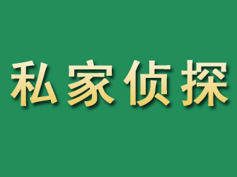 田东市私家正规侦探